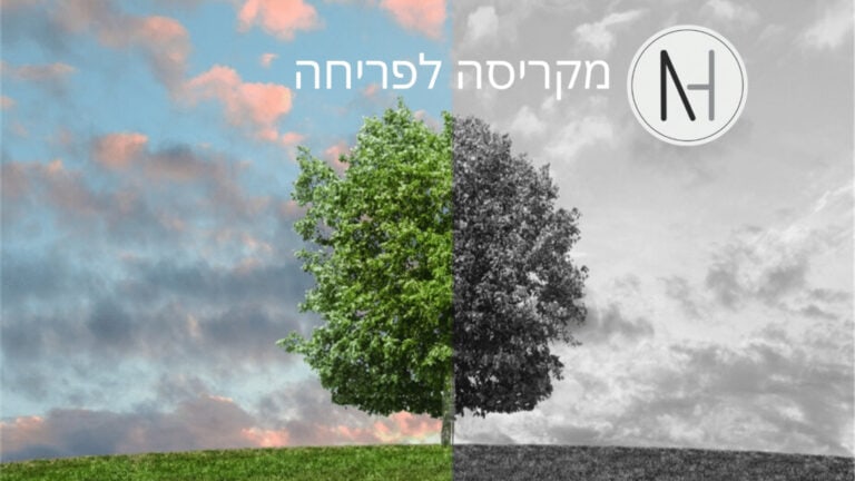חדלות פירעון